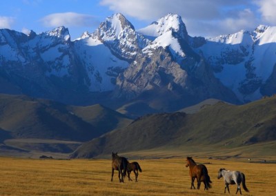 Kyrgyzstan and Mongolia